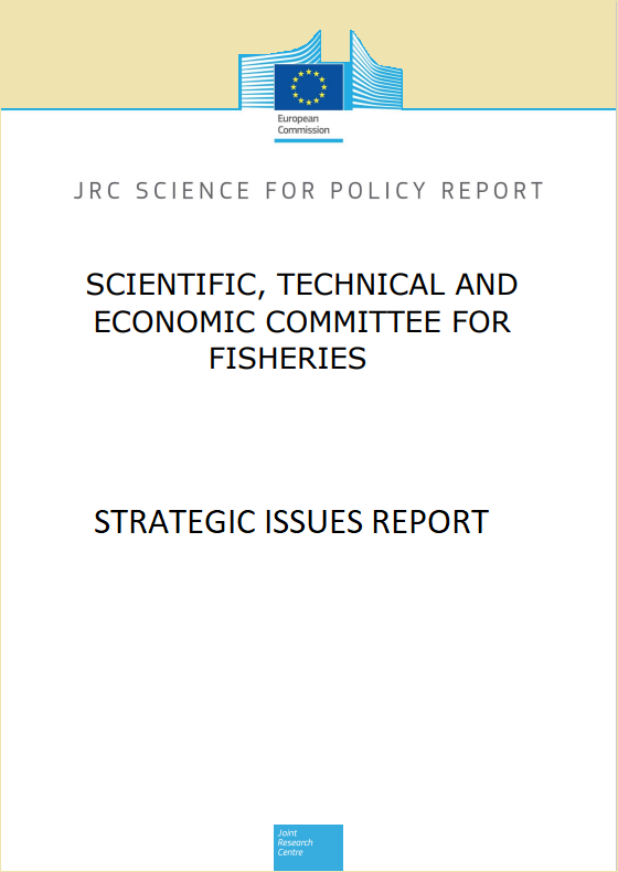 strategic issues icon